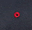 navy/ red